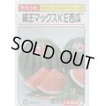 送料無料　[スイカ]　大玉スイカ　縞王マックスＫＥ西瓜　7粒　大和農園