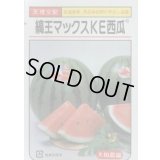 送料無料　[スイカ]　大玉スイカ　縞王マックスＫＥ西瓜　7粒　大和農園