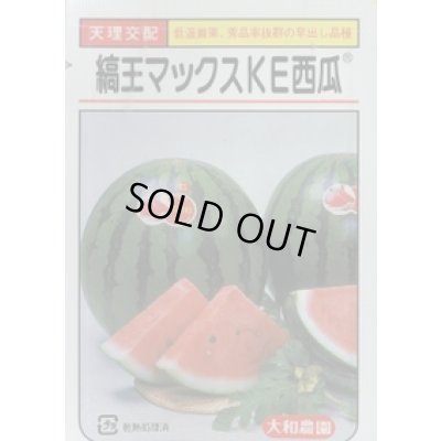 画像1: 送料無料　[スイカ]　大玉スイカ　縞王マックスＫＥ西瓜　200粒　大和農園
