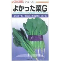 [小松菜]　よかった菜Ｇ　20ml　カネコ交配