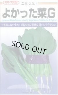 送料無料　[小松菜]　よかった菜Ｇ　20ml　カネコ種苗（株）