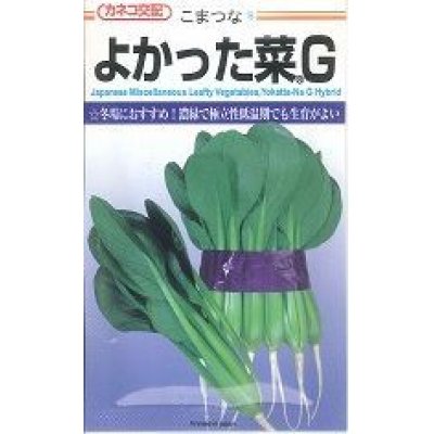 画像1: [小松菜]　よかった菜Ｇ　20ml　カネコ交配