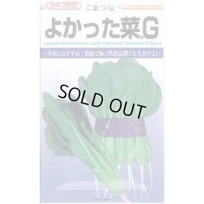 画像1: 送料無料　[小松菜]　よかった菜Ｇ　20ml　カネコ種苗（株）
