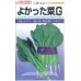 画像1: [小松菜]　よかった菜Ｇ　20ml　カネコ交配 (1)