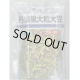 送料無料　[枝豆]　丹波黒大粒大豆　1dl(およそ65粒)　タキイ種苗