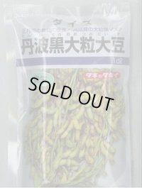 送料無料　[枝豆]　丹波黒大粒大豆　1dl(およそ65粒)　タキイ種苗