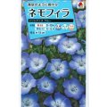 送料無料　花の種　ネモフィラ　インシグニスブルー　1ml　タキイ種苗（株）NL150