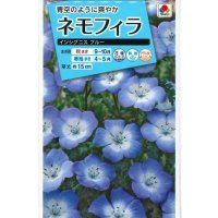 送料無料　花の種　ネモフィラ　インシグニスブルー　1ml　タキイ種苗（株）NL150