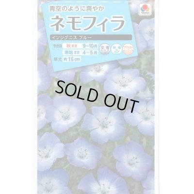 画像1: 花の種　ネモフィラ　インシグニスブルー　1ｍｌ　タキイ種苗