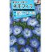 画像1: 花の種　ネモフィラ　インシグニスブルー　1ｍｌ　タキイ種苗 (1)