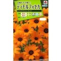 送料無料　花の種　ディモルフォセカ　スプリングフラッシュオレンジ　2ml　タキイ種苗　(NL200)