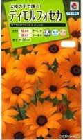 送料無料　花の種　ディモルフォセカ　スプリングフラッシュオレンジ　2ml　タキイ種苗　(NL200)