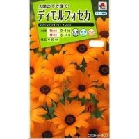 送料無料　花の種　ディモルフォセカ　スプリングフラッシュオレンジ　2ml　タキイ種苗　(NL200)