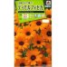 画像1: 花の種　　ディモルフォセカ　スプリングフラッシュオレンジ　2ｍｌ　タキイ種苗　（NL200） (1)