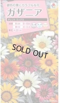 送料無料　花の種　ガザニア　タレントミックス　小袋　タキイ種苗（株）NL300