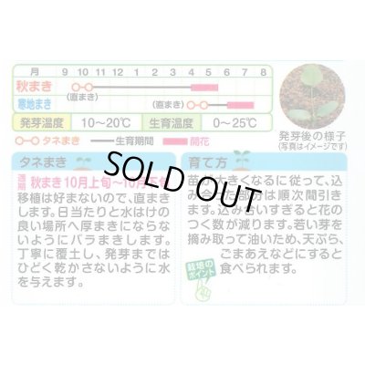 画像2: 送料無料　花の種　れんげ草　10ml　タキイ種苗(株)