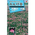 送料無料　花の種　れんげ草　10ml　タキイ種苗(株)