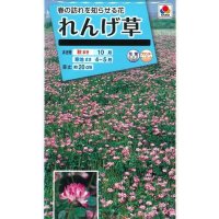 送料無料　花の種　れんげ草　10ml　タキイ種苗(株)