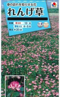 送料無料　花の種　れんげ草　10ml　タキイ種苗(株)