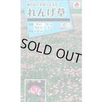 送料無料　花の種　れんげ草　10ml　タキイ種苗(株)