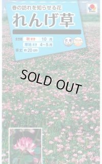 送料無料　花の種　れんげ草　10ml　タキイ種苗(株)
