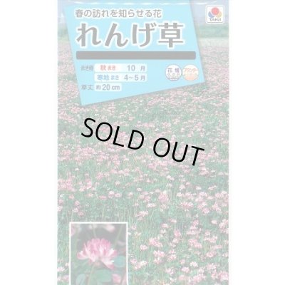 画像1: 送料無料　花の種　れんげ草　10ml　タキイ種苗(株)