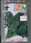 [ほうれんそう]　オシリス　種子サイズ：M　3万粒　（株）サカタのタネ