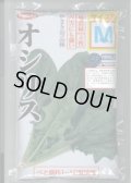 [ほうれんそう]　オシリス　種子サイズ：M　3万粒　（株）サカタのタネ
