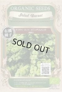 有機種子　サラダバーネット　オランダワレモコウ(矮性)　固定種　0.2ｇ(約35粒)　（株）グリーンフィールドプロジェクト