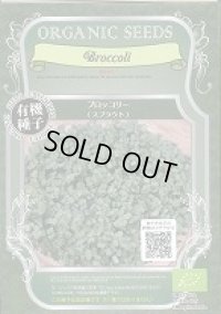 送料無料　[有機種子]　ブロッコリー　(スプラウト)　固定種　12ｇ　(株)グリーンフィールドプロジェクト