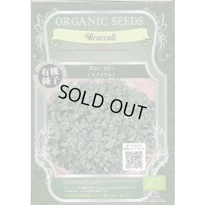 画像1: 送料無料　[有機種子]　ブロッコリー　(スプラウト)　固定種　12ｇ　(株)グリーンフィールドプロジェクト
