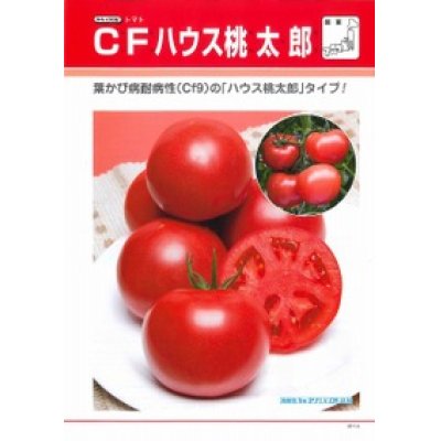 画像2: [トマト/桃太郎系]　送料無料！　CFハウス桃太郎　ペレット1000粒