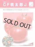 送料無料　[トマト/桃太郎系]　CF桃太郎J　ペレット1000粒