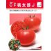 画像2: [トマト/桃太郎系]　送料無料！　CF桃太郎J　1000粒　 (2)