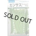 送料無料　[いんげん]　カンサス　1dl　(株)タカヤマシード