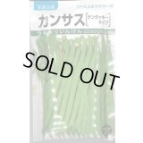 送料無料　[いんげん]　カンサス　1dl　(株)タカヤマシード