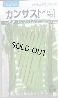送料無料　[いんげん]　カンサス　1dl　(株)タカヤマシード