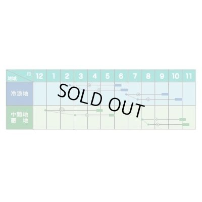 画像2: 送料無料　[ブロッコリー]　スピードドーム052　ペレット5000粒　ヴィルモランみかど