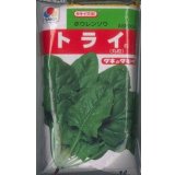 [ほうれんそう]　トライ　1L　タキイ種苗(株)