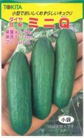 送料無料　[キュウリ]　ミニQ　10粒　トキタ種苗(株)　トキタ種苗(株)