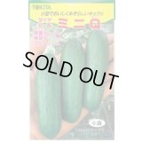 送料無料　[キュウリ]　ミニQ　10粒　トキタ種苗(株)　トキタ種苗(株)