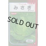 送料無料　[キャベツ]　みさき　20ml　（株）サカタのタネ