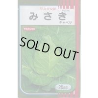 送料無料　[キャベツ]　みさき　20ml　（株）サカタのタネ