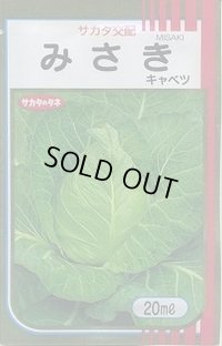 送料無料　[キャベツ]　みさき　20ml　（株）サカタのタネ