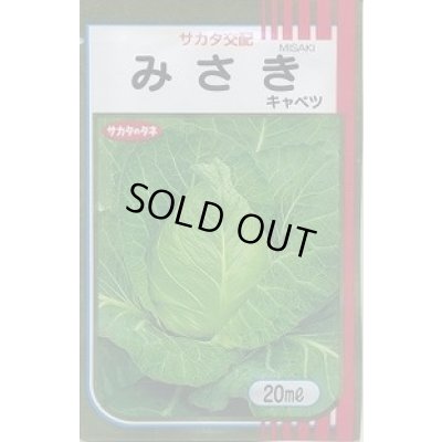 画像1: 送料無料　[キャベツ]　みさき　20ml　（株）サカタのタネ