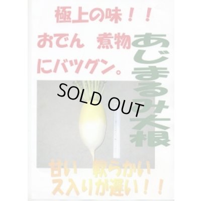 画像2: 送料無料　[大根]　あじまるみ8ml　大和農園