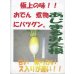 画像2: 送料無料　[大根]　あじまるみ8ml　大和農園 (2)