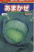 送料無料　[キャベツ]　あまかぜ　1ml　渡辺農事（株）