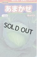 送料無料　[キャベツ]　あまかぜ　1ml　渡辺交配
