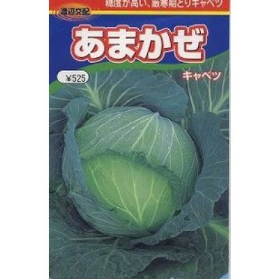 画像1: 送料無料　[キャベツ]　あまかぜ　1ml　渡辺農事（株）